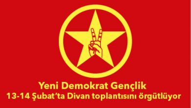 logo Divan açıklama 02 02