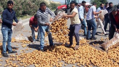 adanada ciftciler fiyatlara tepki olarak d 400 karayoluna patates 002