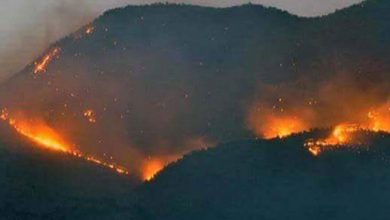 dersim orman yangın