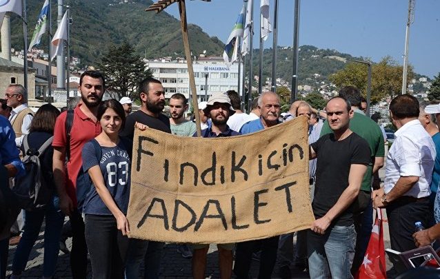 Fındık için adalet yürüyüşü ve etkileri üzerine