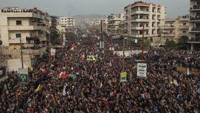 efrin protestosu